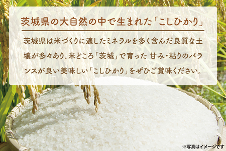 【3ヵ月定期便】 ＜令和7年産＞ 新米 吟穂豊穣こしひかり 2kg ×3ヵ月 精米 コシヒカリ こしひかり 米 ごはん コメ お米 白米 国産 茨城県産_EG022
