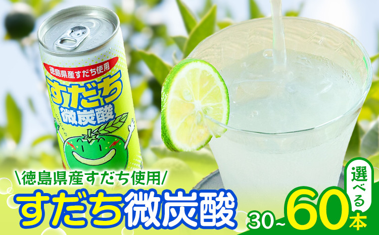 
            すだち微炭酸 30本 or 60本 JA徳島市農産工場《30日以内に出荷予定(土日祝除く)》│ スダチ すだち 飲み物 飲料 ジュース 徳島 とくしま ご当地ジュース 箱でお届け 徳島県 佐那河内村
          