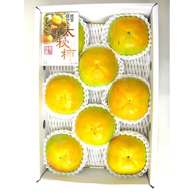 ふるさと納税 三豊市 サクサクした食感　太秋柿(たいしゅうがき)3kg |  | 01