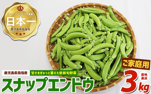
                  ＜2027年2月上旬以降発送＞【産地直送！新鮮旬野菜！】ご家庭用スナップエンドウ約3kg(指宿促成青果/IB092-004)スナップ エンドウ 野菜 旬 旬野菜 春 サラダ 天ぷら 炒め物 新鮮 指宿 鹿児島 いぶすき
                