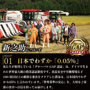 新之助 令和7年産【新之助】 10㎏   数量限定 echigosugatani003