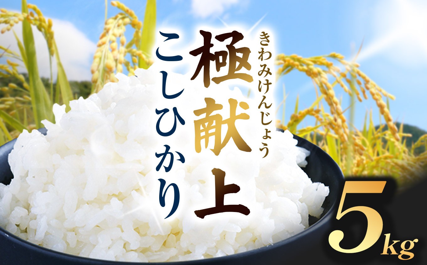 
                  発送中 コシヒカリ 5kg 極献上 こしひかり 5kg 令和7年産 | コシヒカリ こしひかり 米 極献上 特別優秀賞 長野県 伊那市 信州 【018-21】
                