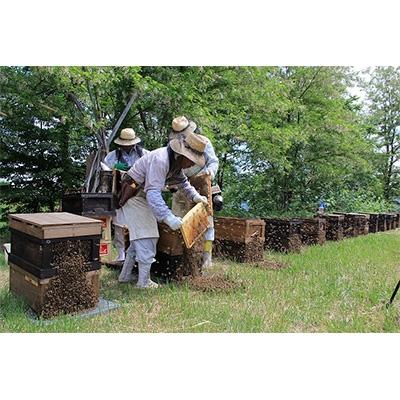 ふるさと納税 横手市 国産自家採集はちみつ3種詰め合わせ(計510g) |  | 02