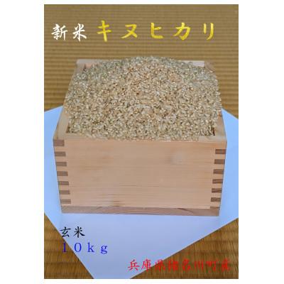 ふるさと納税 猪名川町 キヌヒカリ　令和8年産新米(玄米)
