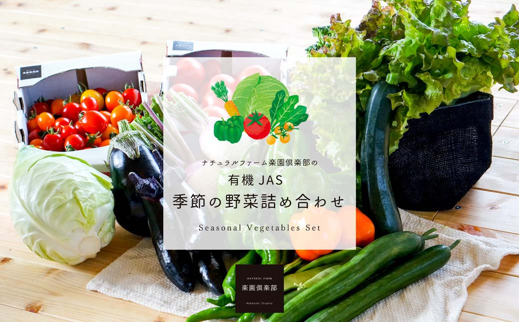 【有機JAS認定】【5ヶ月隔月定期便】 季節の野菜詰め合わせ 〜有機野菜セットB〜 15種類〜18種類 季節 野菜 野菜セット 有機野菜 有機 詰め合わせ セット