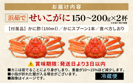 ≪浜茹で≫ 越前 せいこがに 150～200g × 2杯【雌 ズワイガニ】【カニ かに 蟹 越前ガニ セコガニ カニみそ】かに酢・かにスプーン・食べ方のしおり付【12月発送分】希望日指定可 備考欄に希