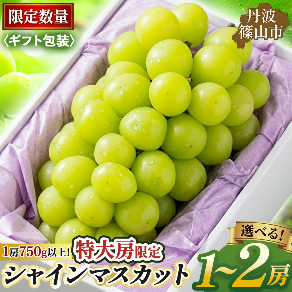 【ふるさと納税】〈早期予約・数量限定〉シャインマスカット 丹波篠山産 （専用ギフト包装 1房~2房 750g~1.5kg以上） | 兵庫県 丹波篠山市 マスカット 農家直送 期間限定 旬 果物 フルーツ ぶどう 葡萄 くだもの マスカット