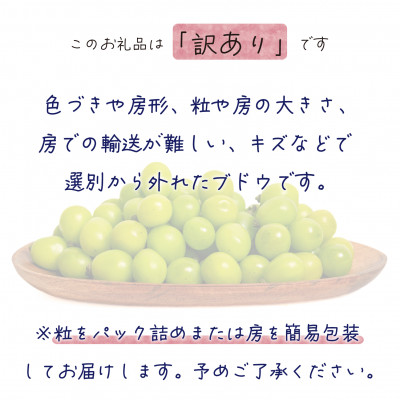 【2026年先行受付】岡山　花笑み農園の『訳ありシャインマスカット』2kg　WS-2【配送不可地域：離島・北海道・沖縄県】