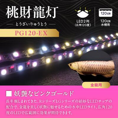 ふるさと納税 小牧市 金龍の鱗を美しく照らす!ピンクゴールドの水中アロワナライト|PG120-EX[172C16] |  | 01