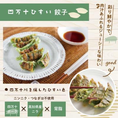 ふるさと納税 四万十市 四万十ひすい餃子・一本釣りかつお餃子(8ヶ×4パック×2種)タレ付き　にんにく不使用 26-014 |  | 01