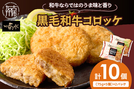 【神戸菊水】黒毛和牛コロッケ10個《 黒毛和牛 惣菜 じゃがいも おかず 》【2400I15903】