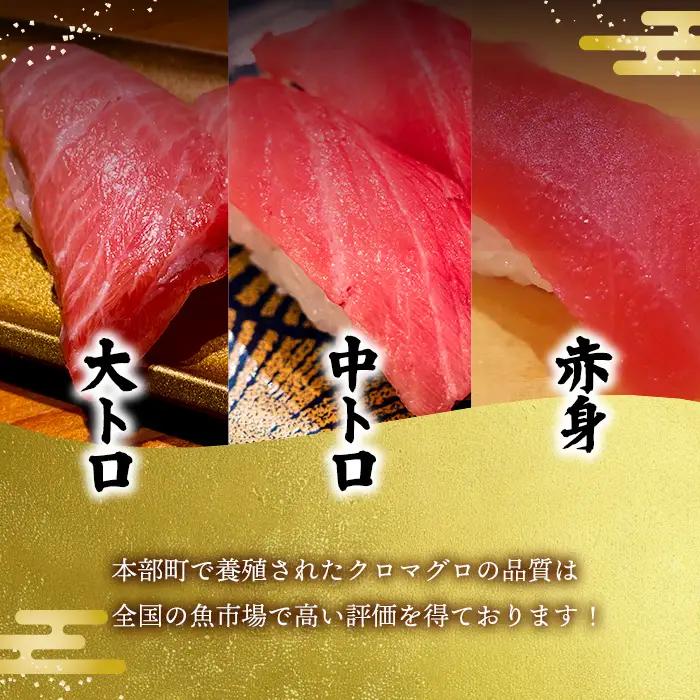 本マグロづくし（大トロ・中トロ・赤身） 本部町産 約800g～1000g マグロ