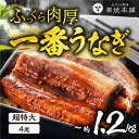 【ふるさと納税】 ふっくら肉厚！一番うなぎ 超特大 4尾 鰻 国産 タレ付 セット 厳選 超絶うなぎ ウナギ 蒲焼 かば焼き 丑の日 高級 特産品 ふっくら お取り寄せ うな重 うな丼 ひつまぶし 冷凍内祝い お中元 お歳暮 愛知県 豊橋市 55000円