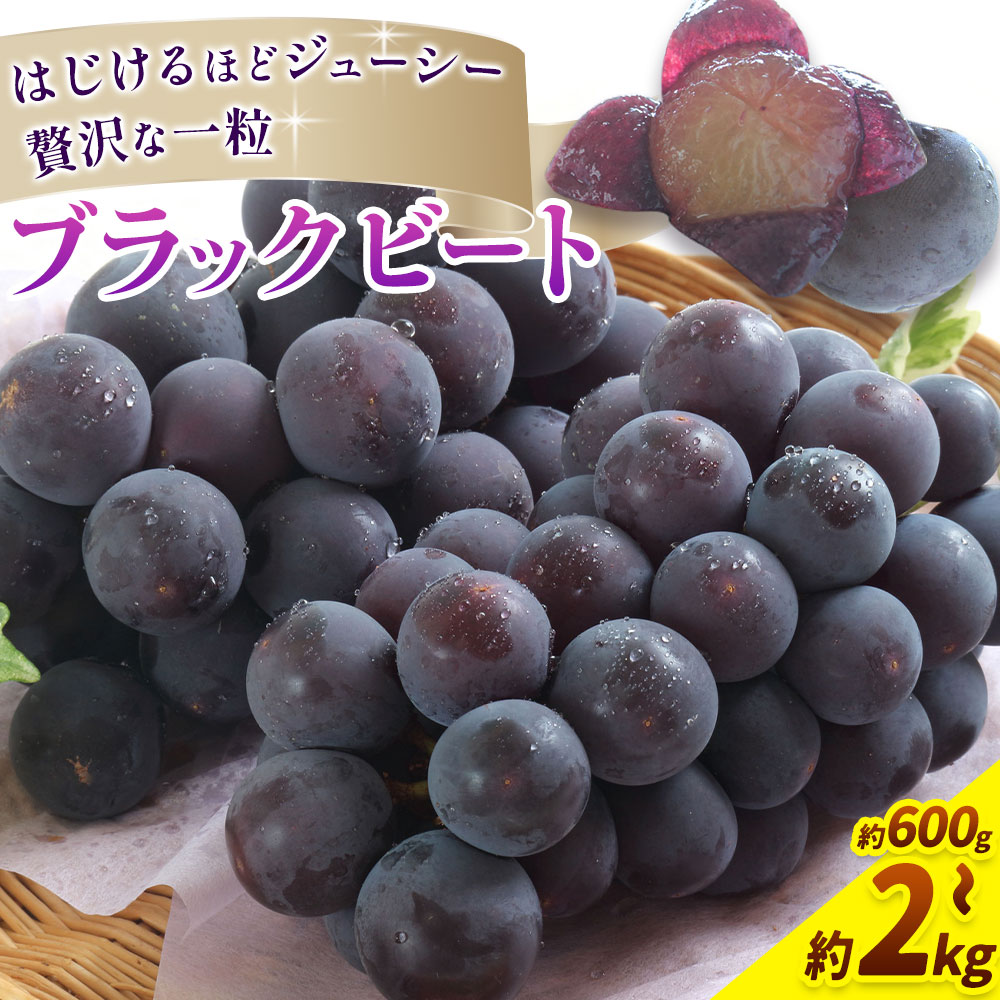 【ふるさと納税】【2026年先行予約】岡山県産 ぶどう ブラックビート 選べる 計 600g 700g 800g 1kg 1.2kg 1.5kg 2kg 株式会社 はちや《2026年8月上旬-9月上旬頃出荷》岡山 国産 葡萄 フルーツ 果物 岡山県 浅口市 フルーツ 果物【配送不可地域あり】