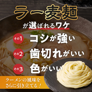 ラー麦麺の味噌ラーメン5食_ラー麦麺 味噌ラーメン 5食 こだわり 生麺 味噌 ラーメン スープ ラー麦 麺 コシ 強い 歯切れ 色 細麺 茹で時間 1分ほど お好み ねぎ チャーシュー トッピング 