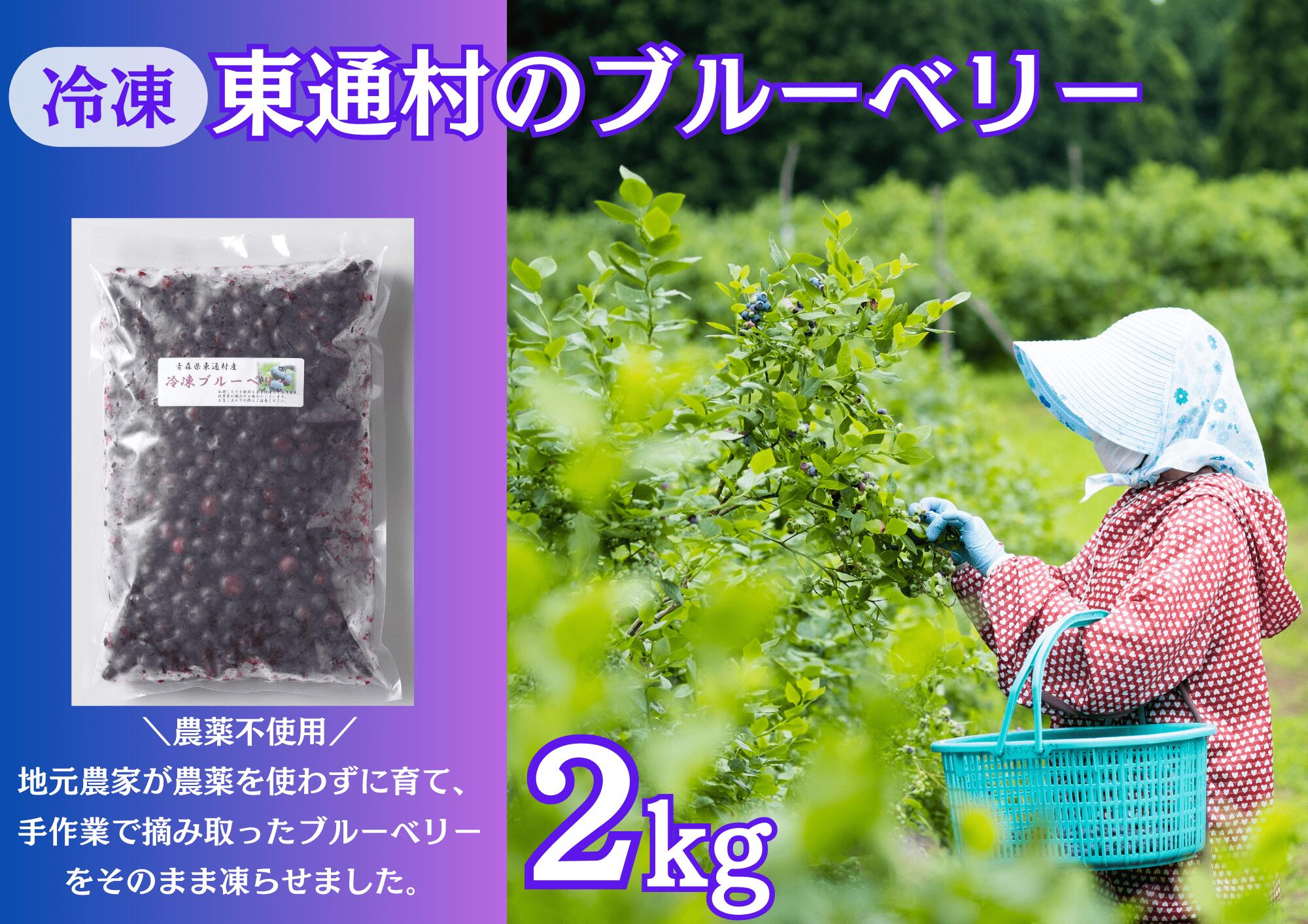 【ふるさと納税】冷凍ブルーベリー（2kg）