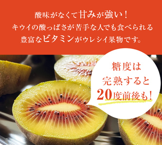 【先行予約】訳ありレインボーレッド3kg（小玉、異形、擦り傷、日焼け） 【2025年11月以降順次発送】 数量限定 希少 国産 甘い 氷見キウイランド 富山県 氷見市