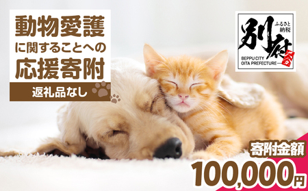 【返礼品なし】動物愛護に関することへの応援寄附(100,000円)_B001-070