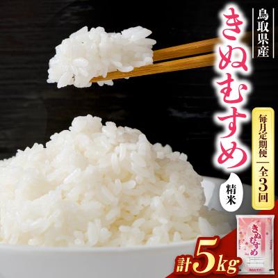 ふるさと納税 智頭町 【毎月定期便】【食味鑑定士厳選】鳥取県産 きぬむすめ5kg(5kg×1袋) 精米全3回