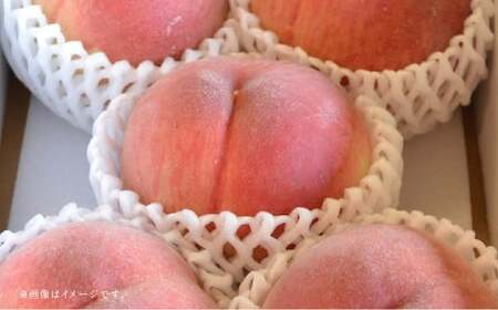 【フルーツ2回定期便】 桃 1kg ＋ 梨 5kg 【2026年5月下旬～10月上旬迄順次発送予定】 もも モモ なし ナシ 和梨 果物 果実 フルーツ 定期便 九州 熊本県 あさぎり町 常温