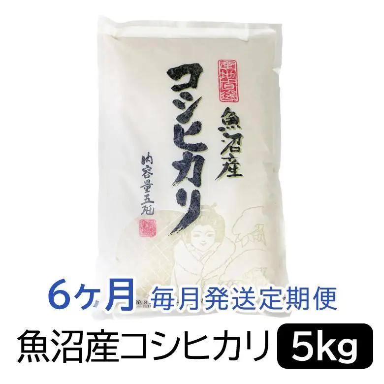 お米マイスター厳選！魚沼産コシヒカリ５kg×6ヶ月毎月発送 定期便 新潟県