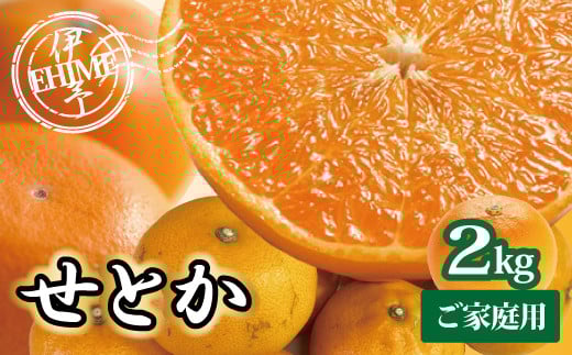 
            訳あり せとか 2kg ご家庭用 みかん 愛媛 人気 サイズミックス 柑橘 伊予市【2026年2月下旬順次発送】｜B235
          