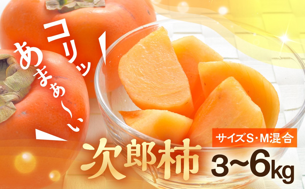 
                  ≪2025年度産≫豊橋石巻柿工房の『次郎柿』3kg 6kg
                