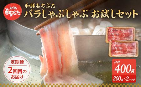 【定期便3回】和豚 もちぶた お試しセット 3ヶ月連続 ソーセージ 角煮 豚肉