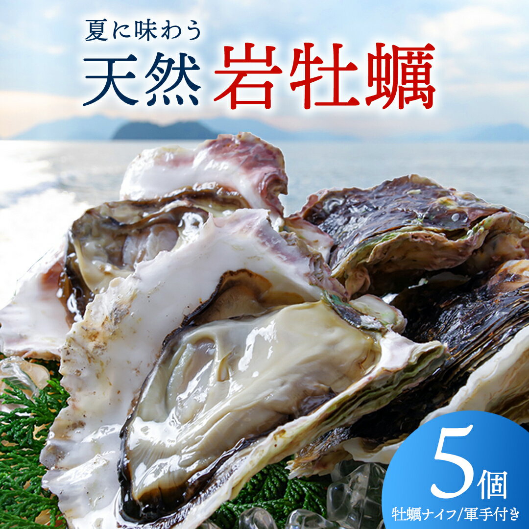 【ふるさと納税】 生食可 天然岩牡蠣 5個 瀬戸内産 広島県 大崎上島産 殻付き 鮮度抜群 カキ 濃厚 クリーミー 海のミルク かき 《ナイフ・軍手付き》 産地直送 冷蔵 期間限定 夏の味覚 送料無料