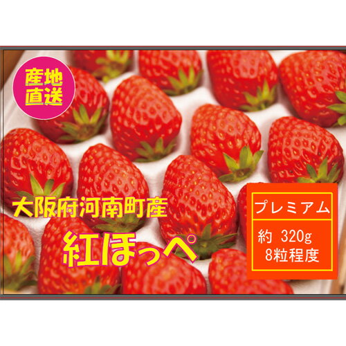 【ふるさと納税】 【紅ほっぺ】プレミアムいちご ／ べにほっぺ いちご 苺 果物 フルーツ 大きい 大粒 特大 1粒40g 丁寧梱包 贈答用 ギフト プレゼント 国産 河南町産 大阪府 特産 送料無料 No.304