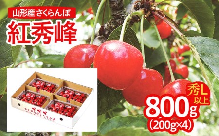 山形産 さくらんぼ(紅秀峰) L以上 800g(200g×4パック) 【令和7年産先行予約】FU22-715