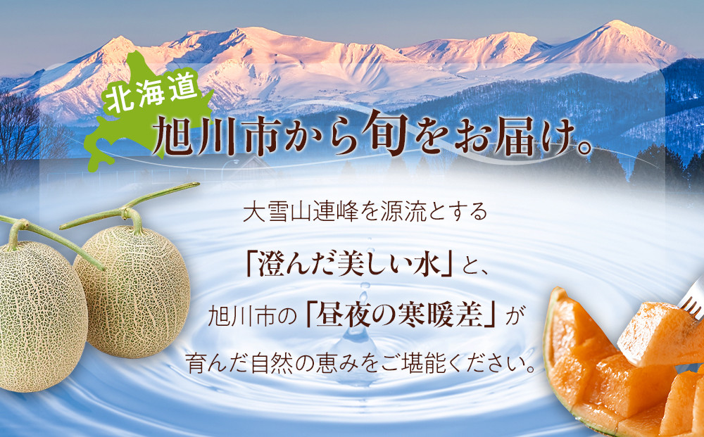 【26年発送先行予約】北海道産赤肉メロン約1.3kg×1玉 (2026年7月中旬から発送開始予定)【 果物 くだもの フルーツ メロン 赤肉 赤肉メロン 旬 お取り寄せ 甘い 北海道産 旭川市 北海道