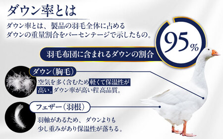 【糸島羽毛ふとん】【アイスランド特別保護鳥使用】【シングル】 羽毛 布団 本掛け ベージュ アイダーダウン95% 糸島市 / 株式会社三樹 / 布団 羽毛[AYM023]