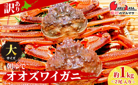 北海道産【 朝ゆで 】訳ありオオズワイガニ 1.0kg詰 ＜かにのマルマサ＞