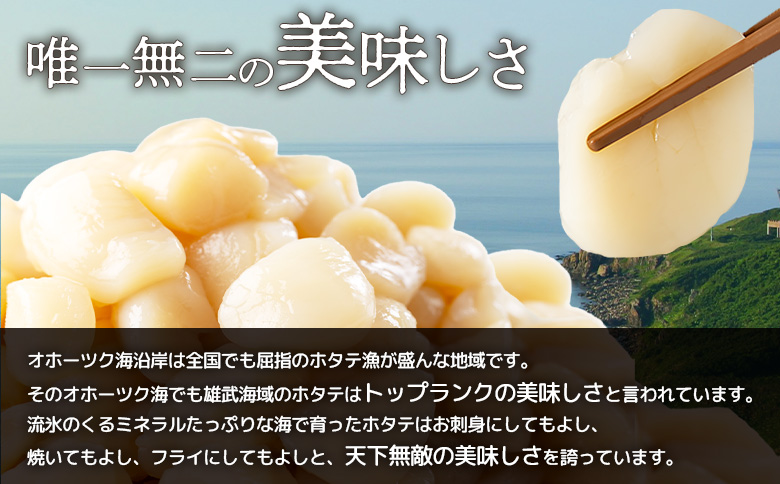 ちょっと訳ありホタテ貝柱小分け1.2kg【0320101】