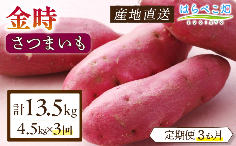 【定期便3ヶ月】さつまいも 金時 4.5kg・H131