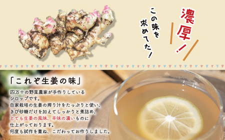 生姜好きさんにオススメ！ 濃厚 しょうがシロップ 5本セット【中辛】国産 生姜シロップ 自家製 生姜 しょうが ショウガ ジンジャー シロップ アレンジ ドリンク 料理 調味料 高知 四万十 四万十市