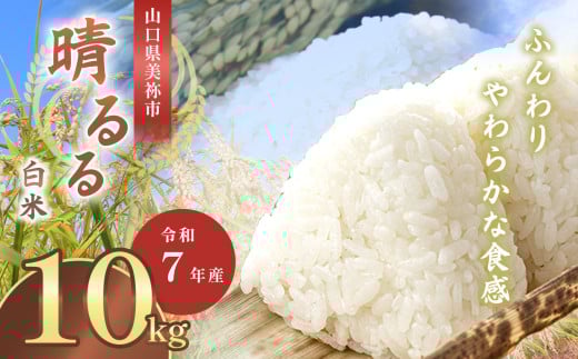 令和7年度産 新米 晴るる 白米 10kg 先行予約 ＜ 2025年10月～より順次発送予定 ＞｜ 米 精米 新米 白米 米 雑穀 お米 コメ 単一米 晴るる はるる  山口 美祢 秋吉台 10kg