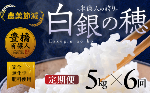 【定期便】令和7年産 米儂人の誇り 白銀の穂 5kg×6回 お米 おこめ 米 コメ kome 令和7年