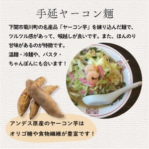 手延 麺 3種 セット そうめん うどん ヤーコン 菊麺 1.7kg ES004-NT