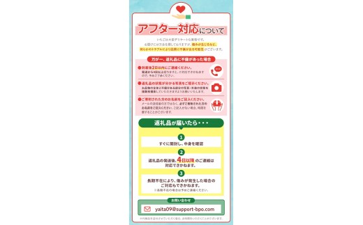 大粒スカイベリー＆新品種とちあいか 食べ比べセット 1,120g (560g×2)《12月中旬～4月の期間で発送》 澳原いちご農園  | いちご 苺 イチゴ フルーツ 果物 産地直送 栃木県産 【12