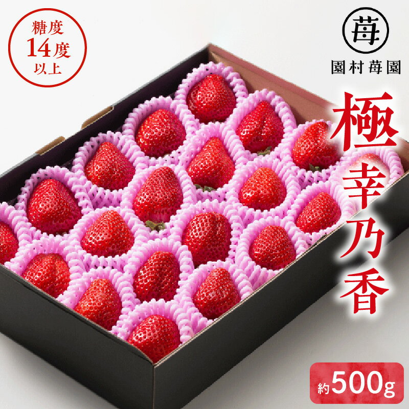 【ふるさと納税】苺 極幸乃香 さちのか 約 500g 糖度14度以上保証 ブランド 九州 熊本県産 甘味 酸味 旨味 コク ビタミンC 冷蔵 贈り物 ギフト 熨斗対応 ストロベリー 食品 お取り寄せ フルーツ 果物 お取り寄せフルーツ 青果 生鮮 送料無料 【熊本県宇土市】