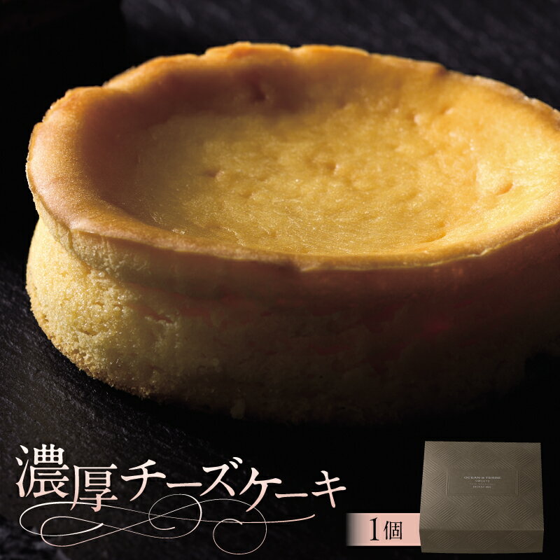 【ふるさと納税】濃厚チーズケーキ AS118 栃木県 那須塩原市 濃厚 チーズケーキ ガトーフロマージュ スイーツ お菓子 おやつ 洋菓子 OCEAN&TERRE お取り寄せ 送料無料
