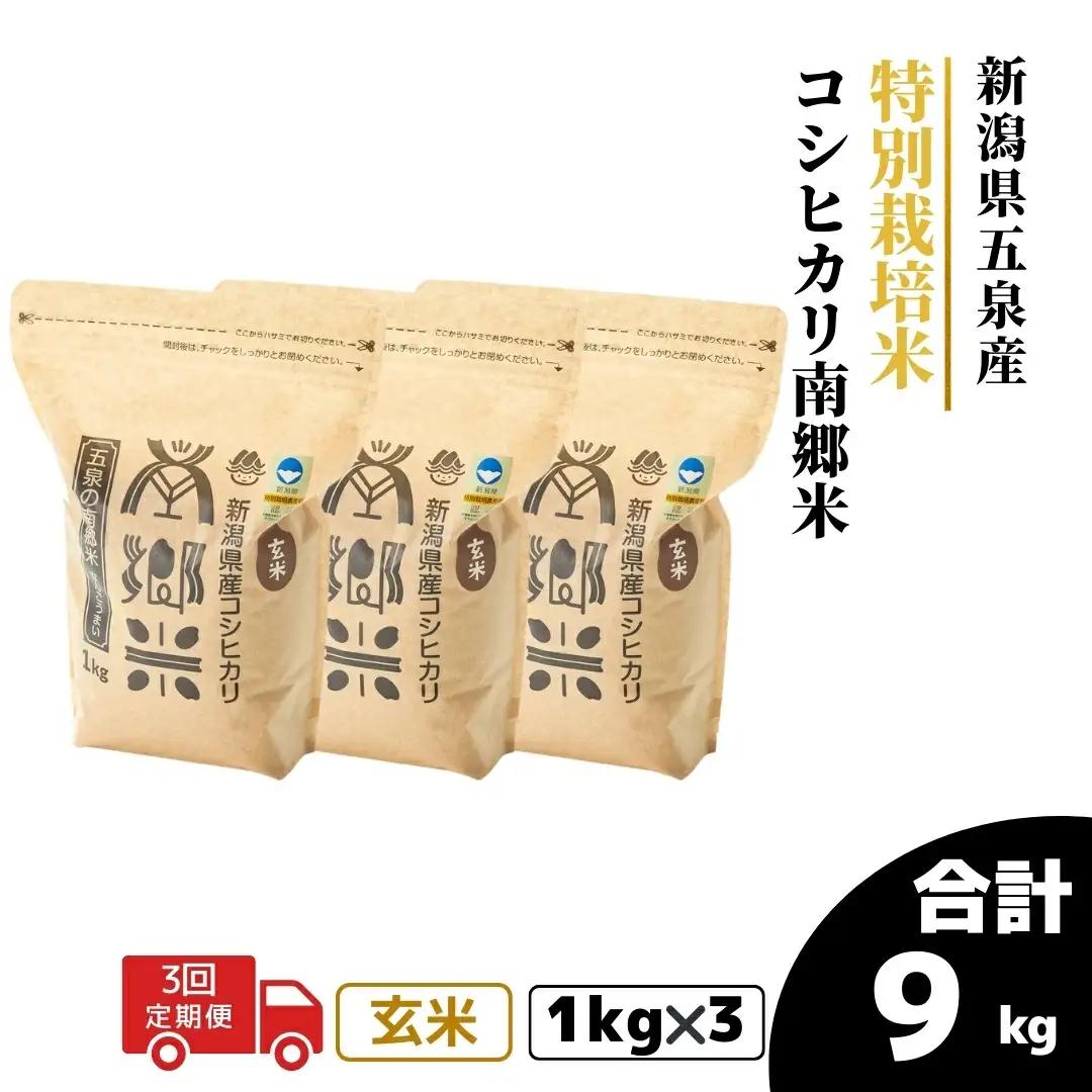 令和8年産米【3回定期便】特別栽培コシヒカリ 玄米 3kg（1kg×3袋） | コシヒカリ 玄米 米 新潟県産 五泉市 特別栽培米 新米