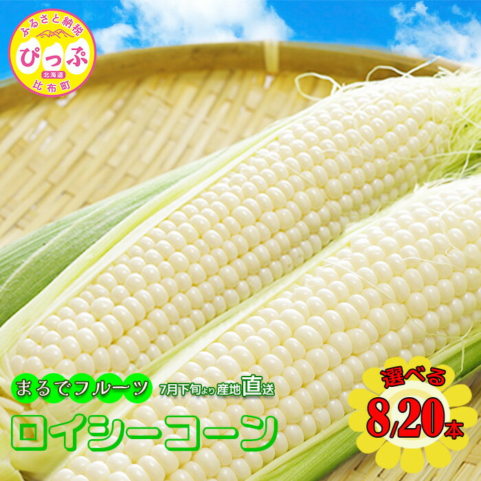 【ふるさと納税】【2026年7月下旬頃発送】「ロイシーコーン」【たかだ畑】選べる容量 8本/20本 とうもろこし スイートコーン 白い 野菜 産地直送 とうきび BBQ バーベキュー キャンプ 甘い 北海道 比布町 ぴっぷ