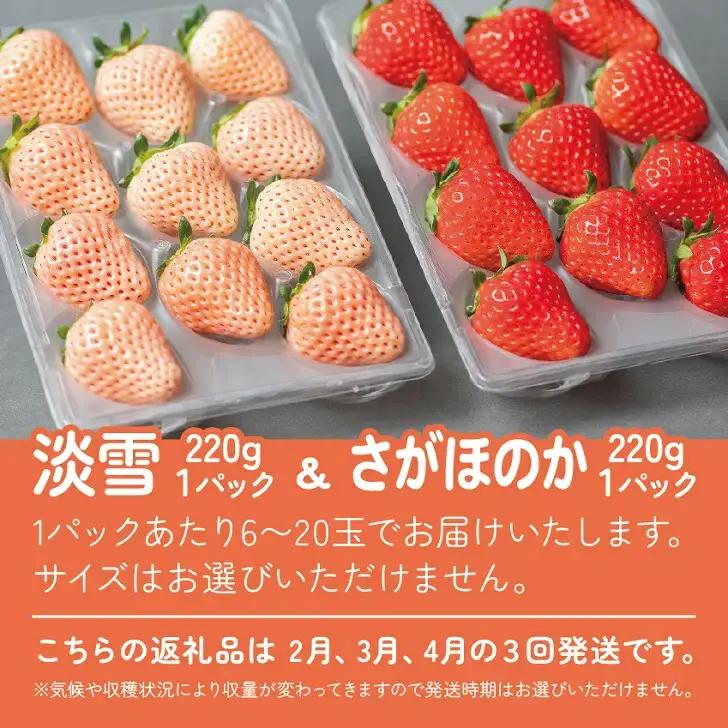 先行受付開始！【定期便3回】佐賀県産 紅白いちご 食べ比べ 2027年2~4月発送：B395-011