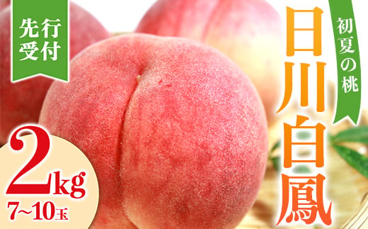 
            福島県産 日川白鳳 2kg 2025年7月上旬～2025年7月中旬発送 2025年出荷分 先行予約 予約 伊達の桃 小玉 桃 もも モモ 果物 くだもの フルーツ 国産 食品 F21C-023
          