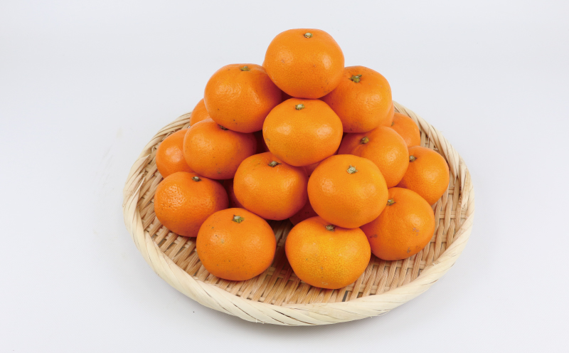 完熟みかん 訳あり 完熟 みかん 早生みかん 10kg 杉本屋 先行予約 完熟 温州みかん みかん ミカン mikan 早生 温州 蜜柑 みかん 果物 くだもの フルーツ 愛媛みかん 愛媛ミカン 愛媛