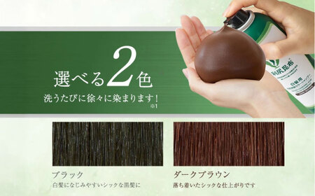【色が選べる！6本セット】［白髪用］利尻炭酸カラーシャンプー＋利尻カラーケアコンディショナー 糸島市 / 株式会社ピュール ヘアケア コンディショナー[AZA056]
