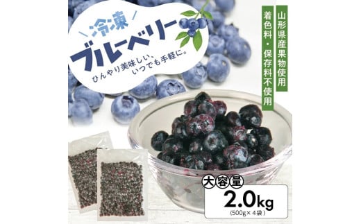 1177BB2000G　冷凍ブルーベリー2.0kg(500g×4袋)
